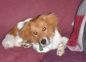 Pinball couch headtilt