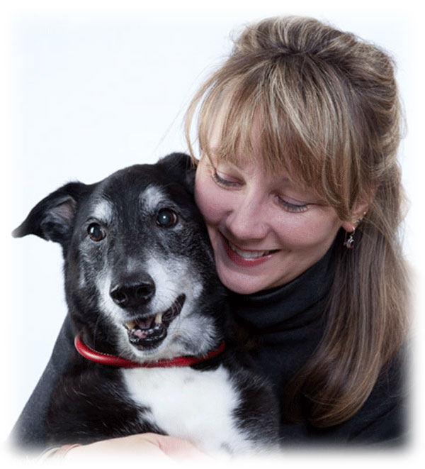 Three Dogs Training Teaching Manners Behaviors And Relationships