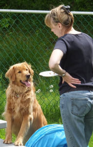 "Okay, lady, just tell me what I have to do for those hot dogs!!!