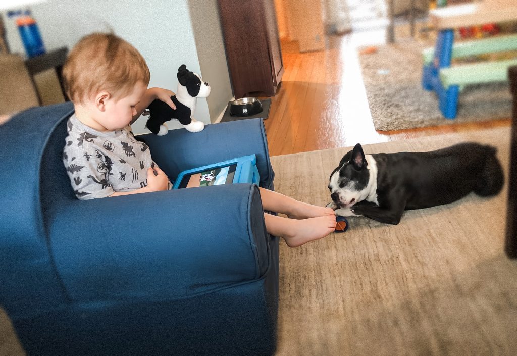 Toddler and dog happy and safe with each other