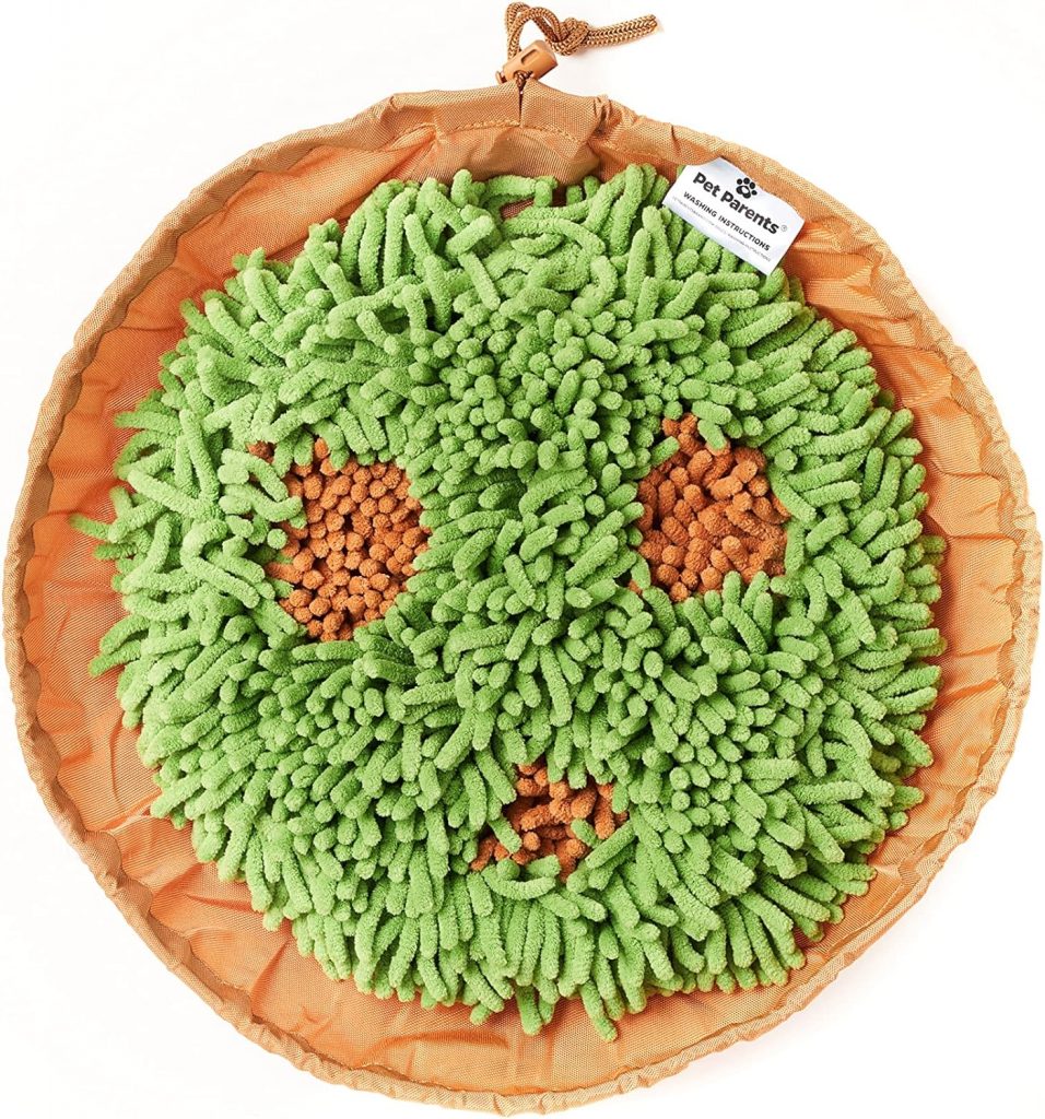 Snuffle mat for enrichment and to slow her speed eating